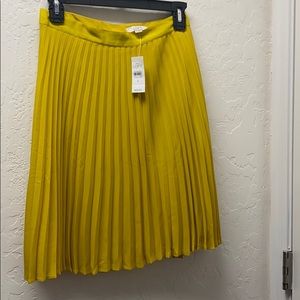NWT LOFT pleated skirt